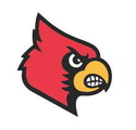 Cards defeat Tigers in playoff battle