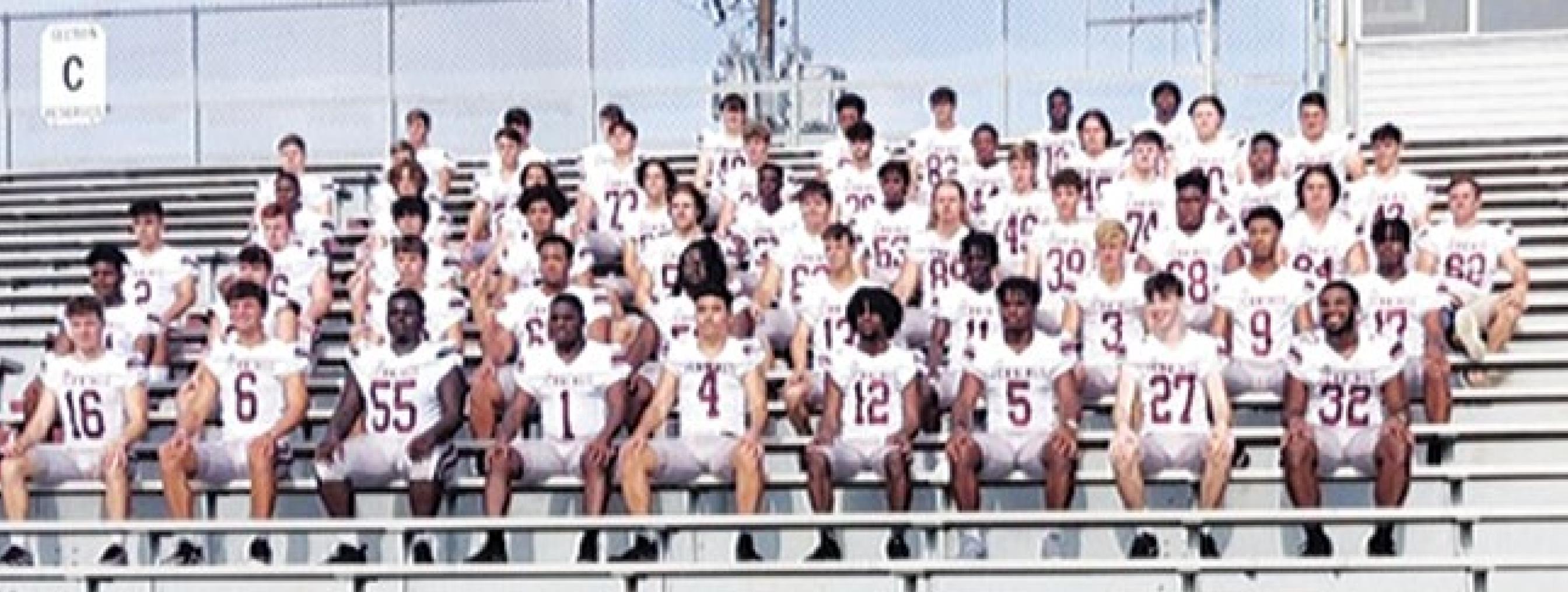 DOGS COMPETITIVE AGAINST 5A BARBE