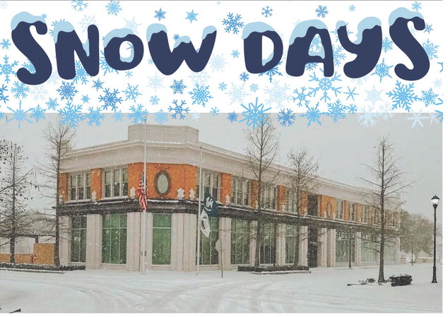 Jeff Davis Parish survives historic snowstorm