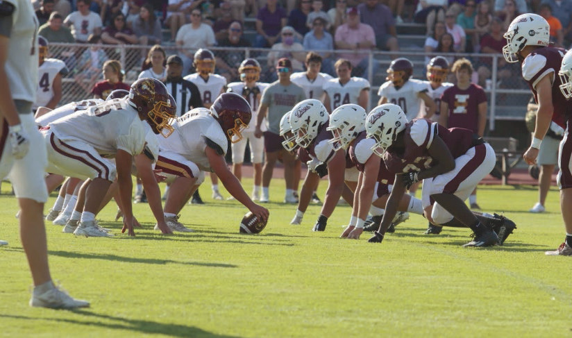 Bulldogs solid in Spring game showing