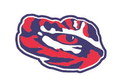 Tigers to face Menard on road