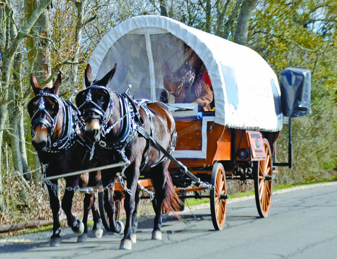 COUNTRY CAVALCADE