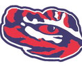Tigers aiming to build on opening week win