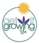 Brighten your garden with Sunshine Ligustrum, the perfect shrub for busy gardeners