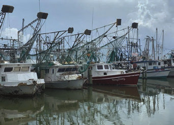 Louisiana shrimpers sue Biden administration over turtle excluder devices