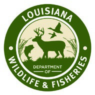 State black bear lottery now open