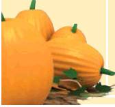 Perfectly Pumpkin