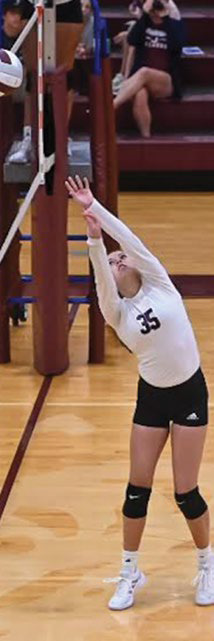 Lady Dogs open volleyball season Wednesday