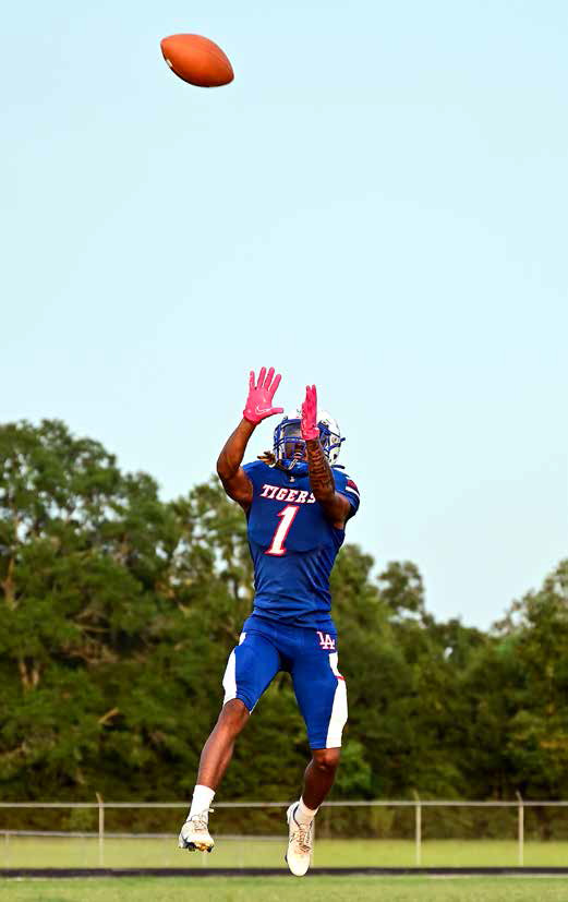 The Lake Arthur Tigers