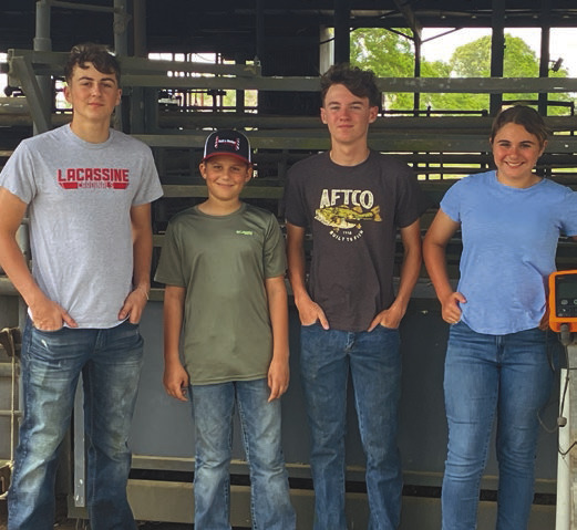 FFA, 4-H grazing program wraps up