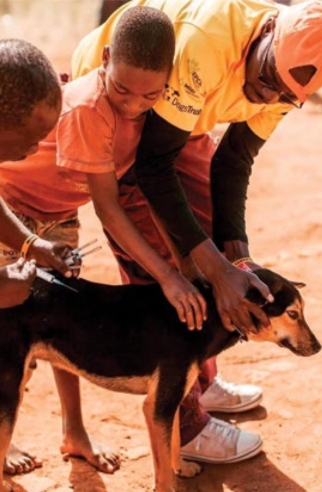 Rabies Prevention