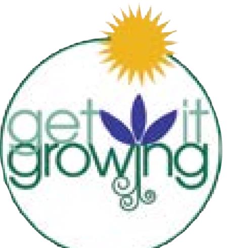 HOW TO BE SUCCULENT SAVVY