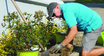 KNOCKING OUT FALL GARDENING
