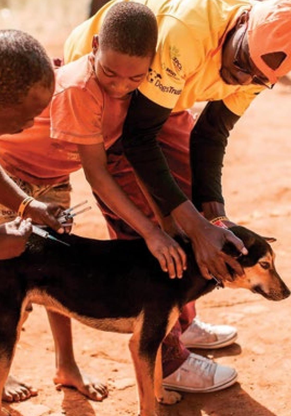 Rabies Prevention