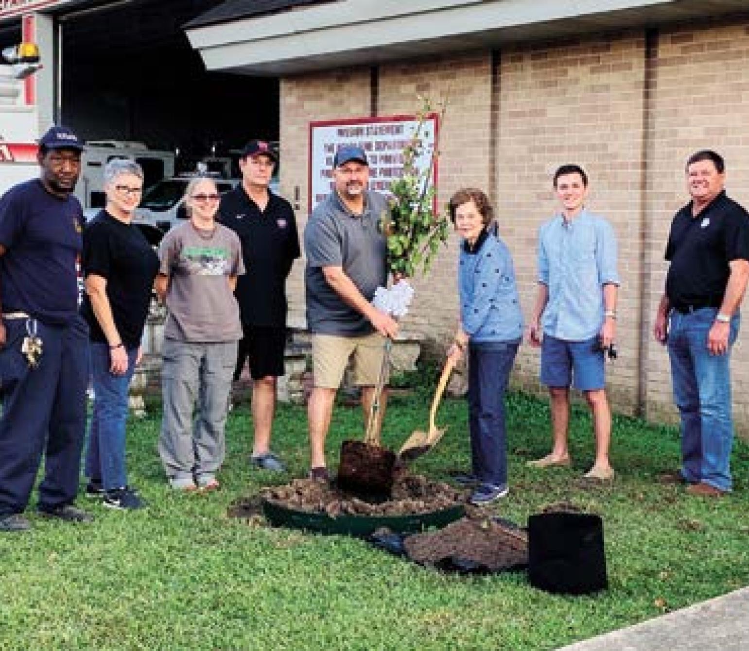 Welsh Plants First Responders Tree