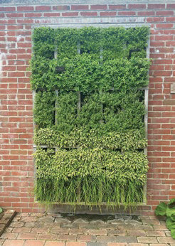 Finding garden inspiration