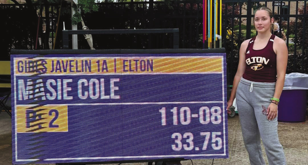Locals shine at state track meet
