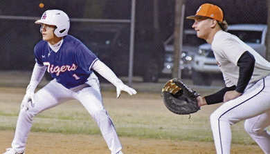Tigers Baseball in full swing