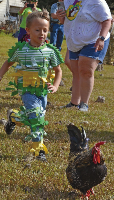 RUN Chicken RUN