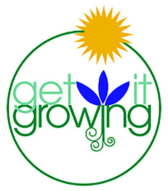 Evolvulus named summer 2023 Louisiana Super Plant selection