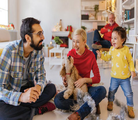 Recognizing Holiday Hazards