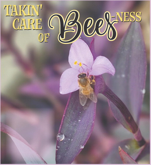 TAKIN CARE OF Bees NESS