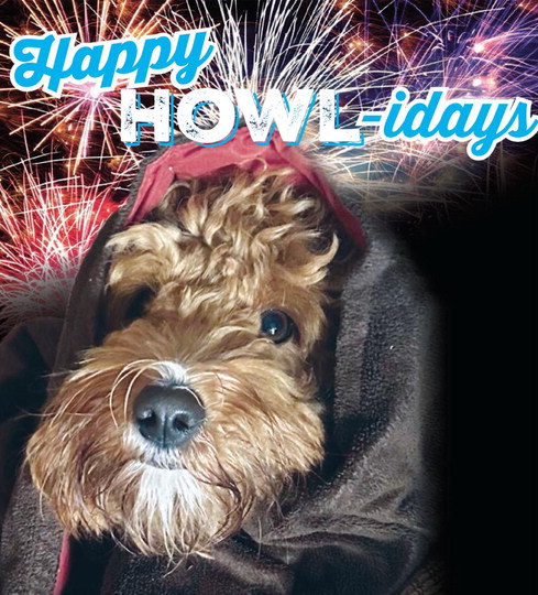 Happy HOWL-idays