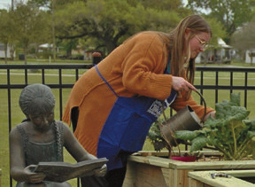 Good DAY to GARDEN