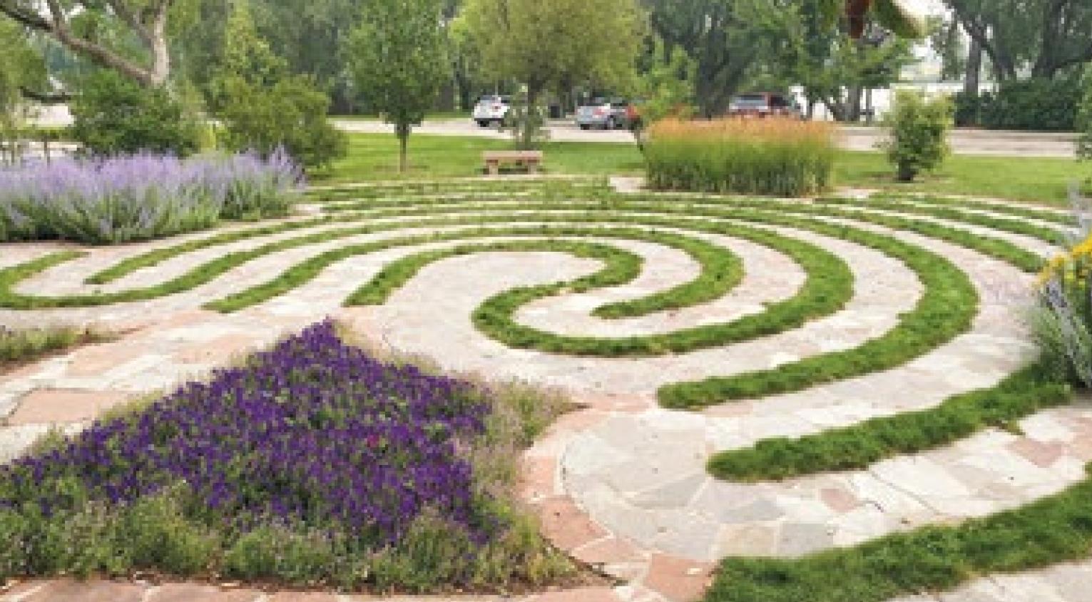 Gardening resolutions for the new year