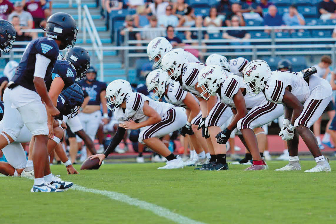 Dogs show fight in preseason tilt with Barbe