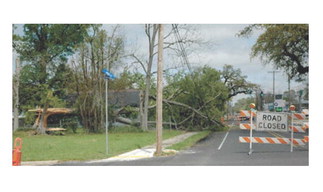Storm, fallen trees wreak havoc on parish