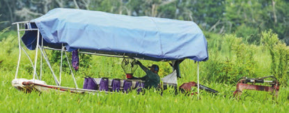Louisiana in for uncertain crawfish season