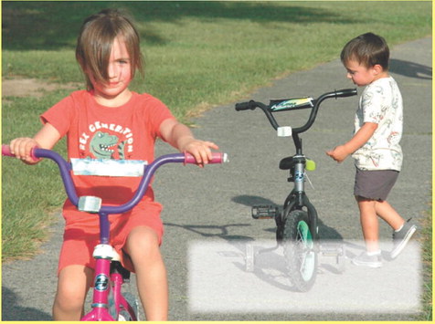 Fresh Air & Family Fun