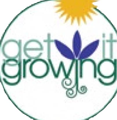 Designing and planting foundation beds