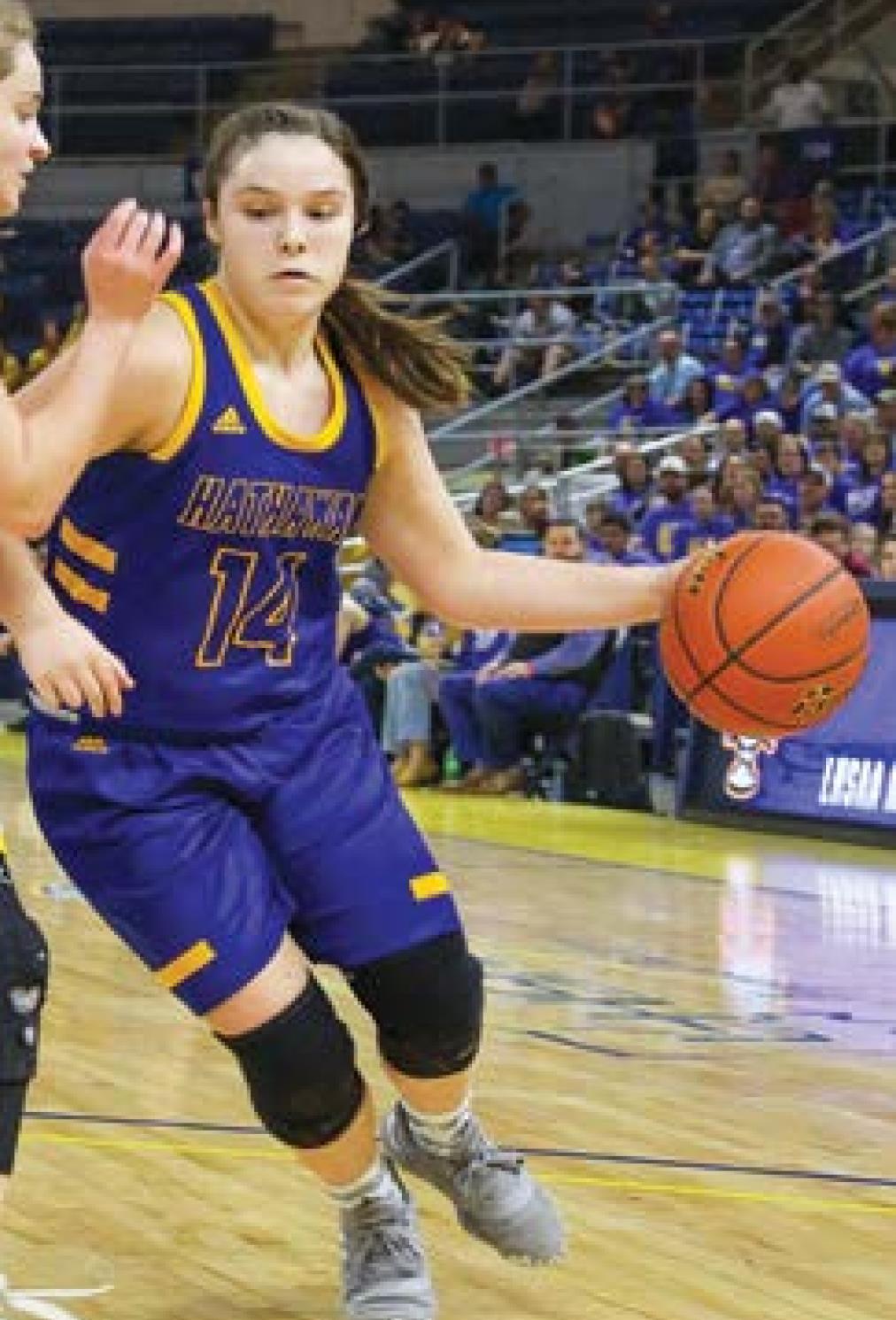 Lady Hornets sweep pair at Fairview Tourney