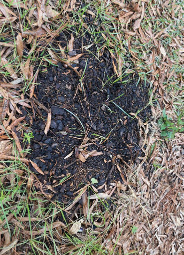 Can you reuse your potting soil?