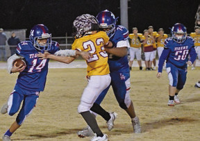 Tigers take on Hornets