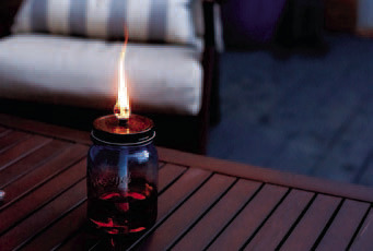 Tips to control summer pests