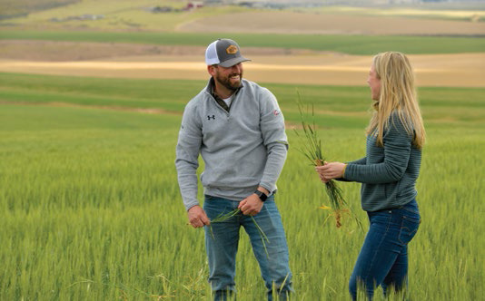 5 Sustainable Agriculture Practices for Long-Term Success