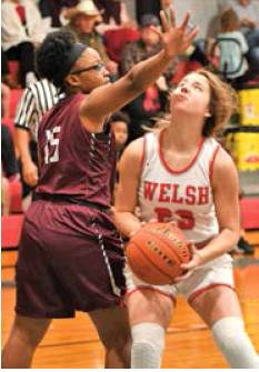 Dogs, Lady Dogs sweep pair from Welsh on hardwood