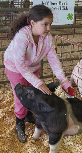 4-H Fun