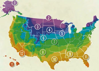 Choosing plants that will thrive in your climate
