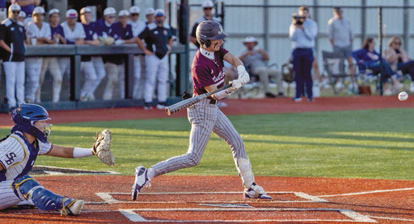 Dogs tangle with Knights