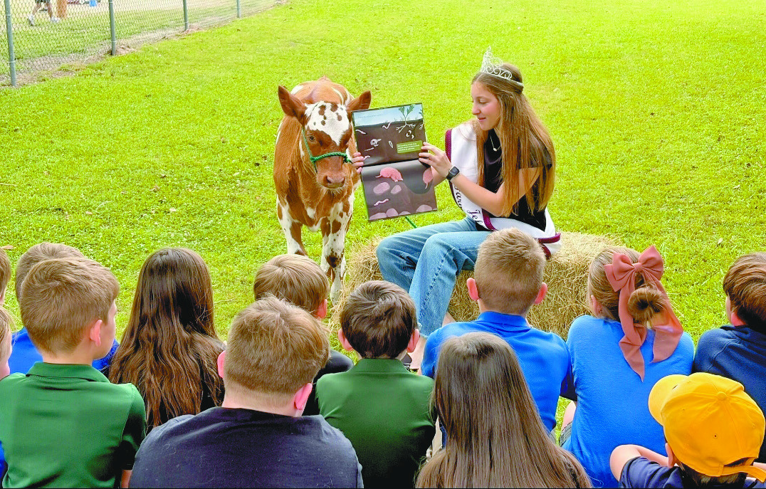 Celebrating Literacy