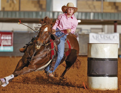 Equine Ambassador