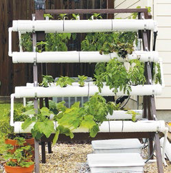 Smaller spaces call for micro gardens