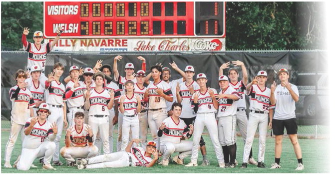 Hounds take state runner-up title
