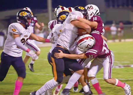 Dogs aiming to build on success at South Beauregard