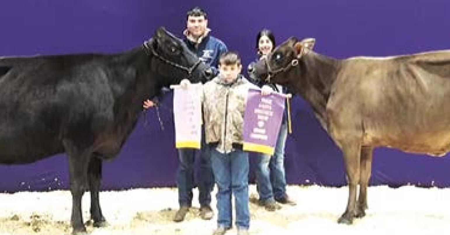 Local 4-Hers participate in state livestock show