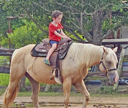 ON THE FARM